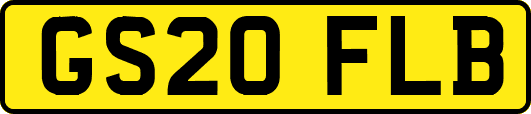 GS20FLB