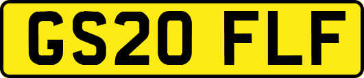 GS20FLF