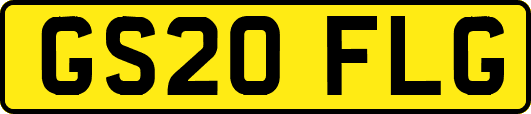GS20FLG