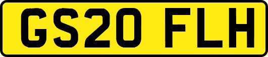 GS20FLH
