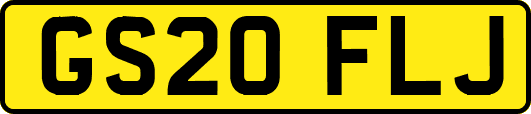 GS20FLJ