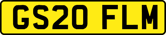 GS20FLM