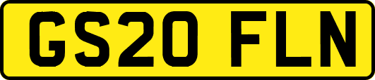 GS20FLN