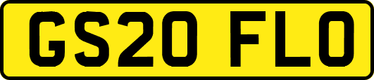 GS20FLO