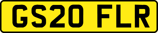 GS20FLR