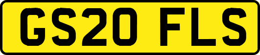GS20FLS