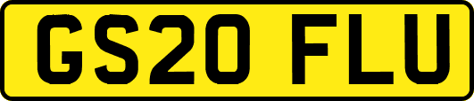 GS20FLU