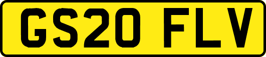 GS20FLV