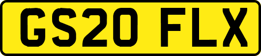 GS20FLX