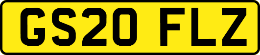 GS20FLZ