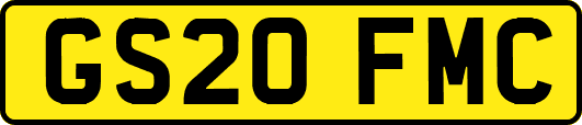 GS20FMC