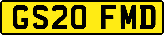 GS20FMD