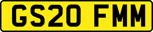 GS20FMM