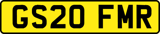GS20FMR
