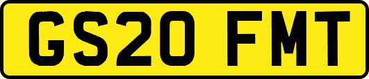 GS20FMT