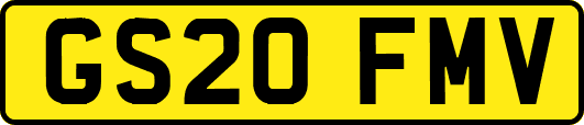 GS20FMV