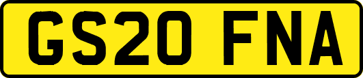 GS20FNA