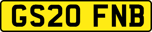 GS20FNB