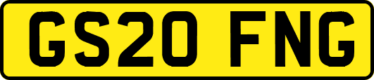 GS20FNG