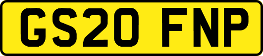 GS20FNP