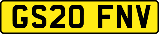 GS20FNV