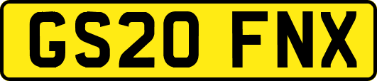 GS20FNX