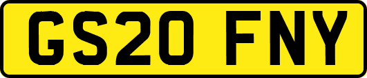 GS20FNY