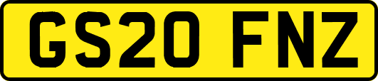GS20FNZ