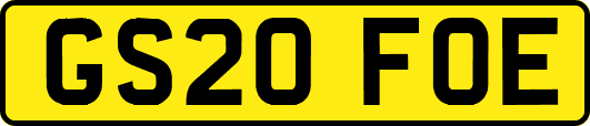 GS20FOE