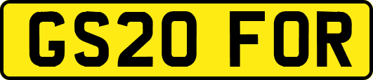 GS20FOR
