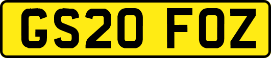 GS20FOZ