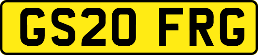 GS20FRG