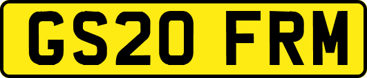 GS20FRM
