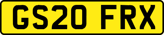 GS20FRX