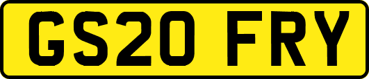 GS20FRY