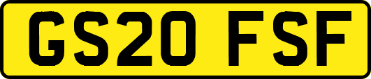 GS20FSF