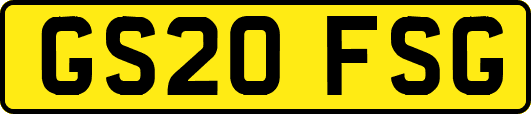 GS20FSG