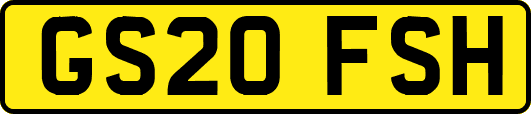 GS20FSH