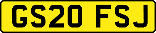 GS20FSJ