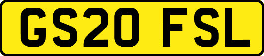 GS20FSL