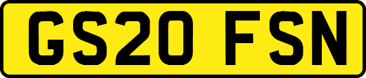 GS20FSN