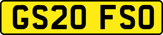 GS20FSO