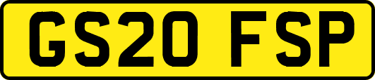 GS20FSP