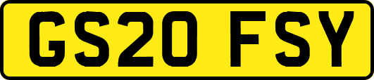 GS20FSY
