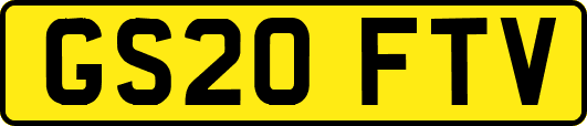 GS20FTV