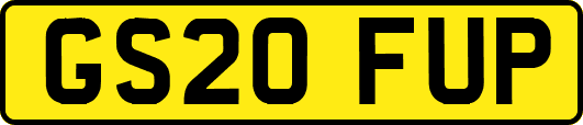 GS20FUP
