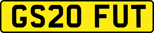 GS20FUT