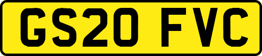 GS20FVC