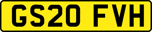 GS20FVH