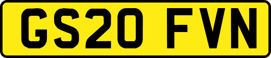 GS20FVN